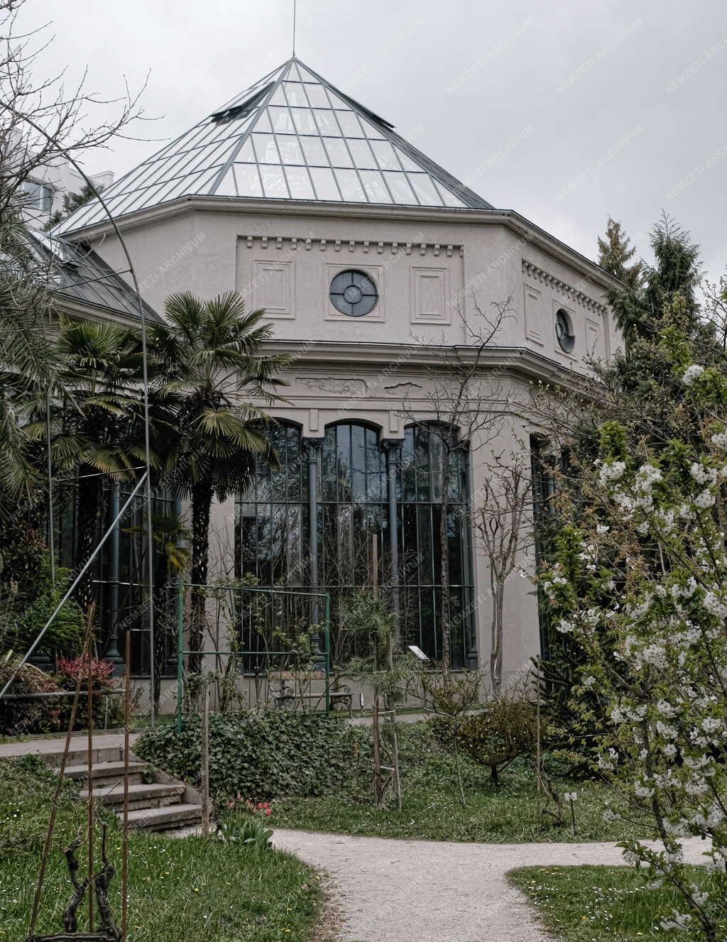 Természet - Budapesti Füvészkert