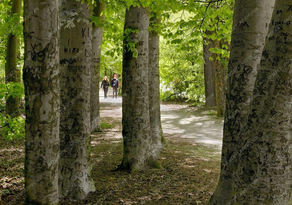 Tájkép - Normafa Park
