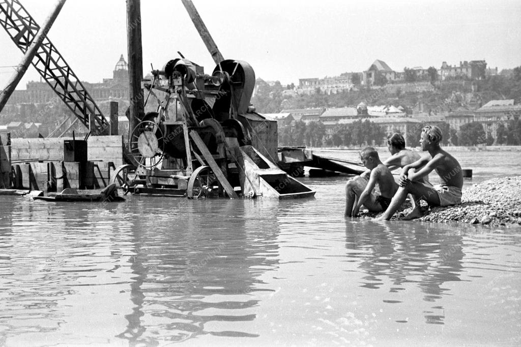 Környezet - Árad a Duna