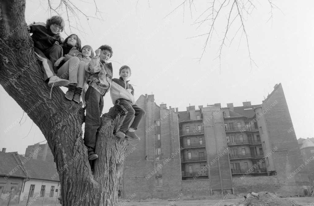 Életkép - Budapesti pillanatképek