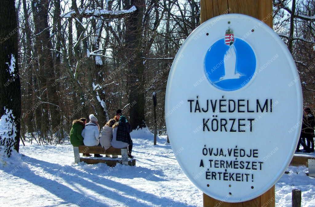 Szabadidő - Budapest - Kirándulók a téli erdőben