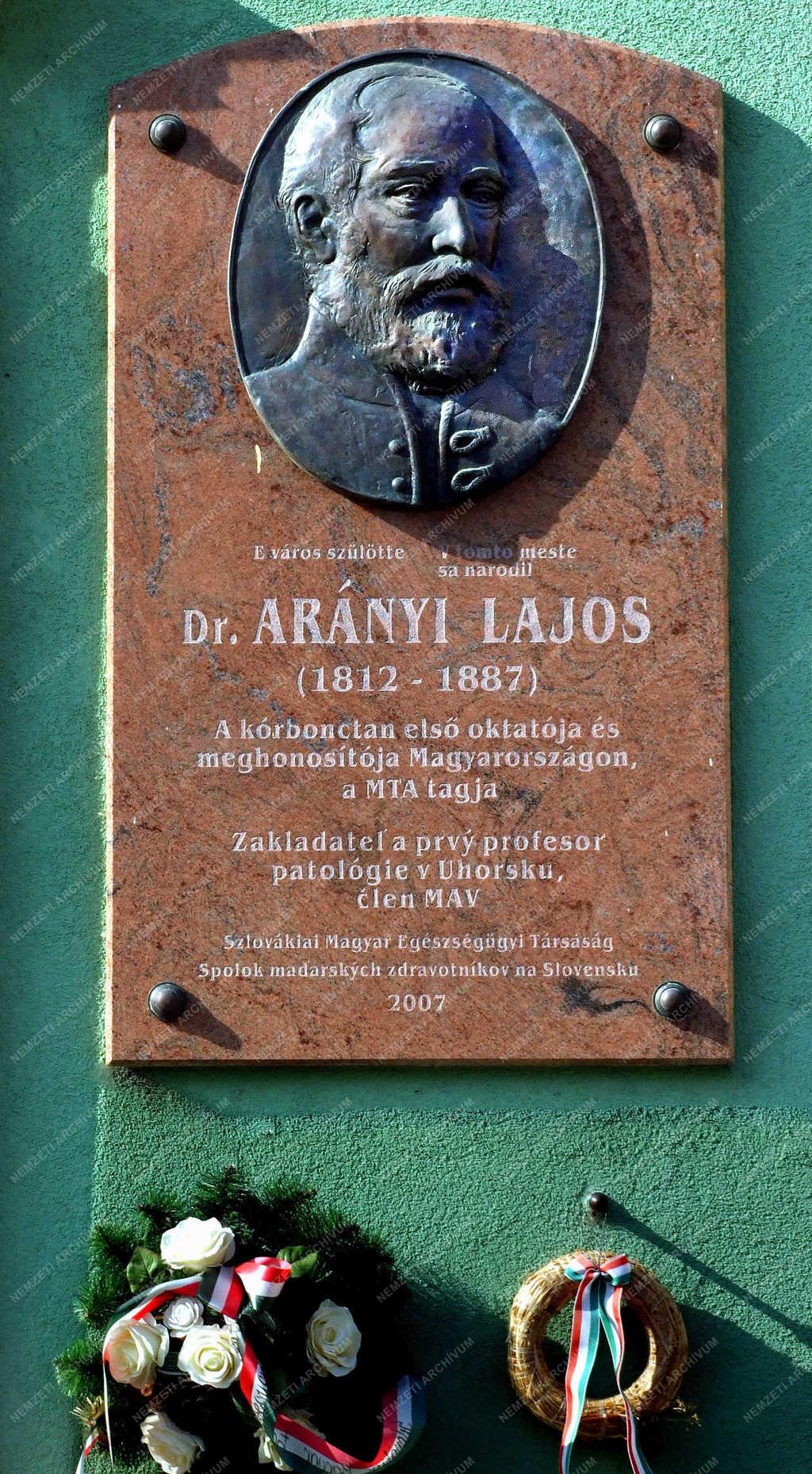 Városkép - Révkomárom - Emléktába Dr. Arányi Lajosnak