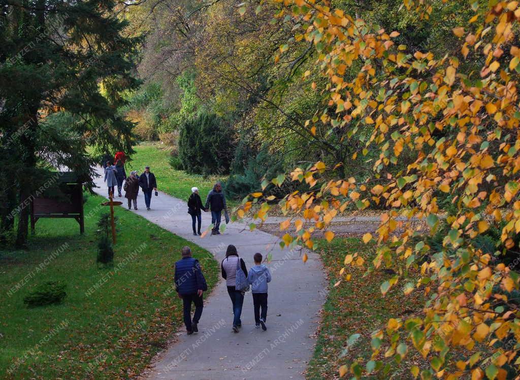 Természet - Szarvas - Arborétum