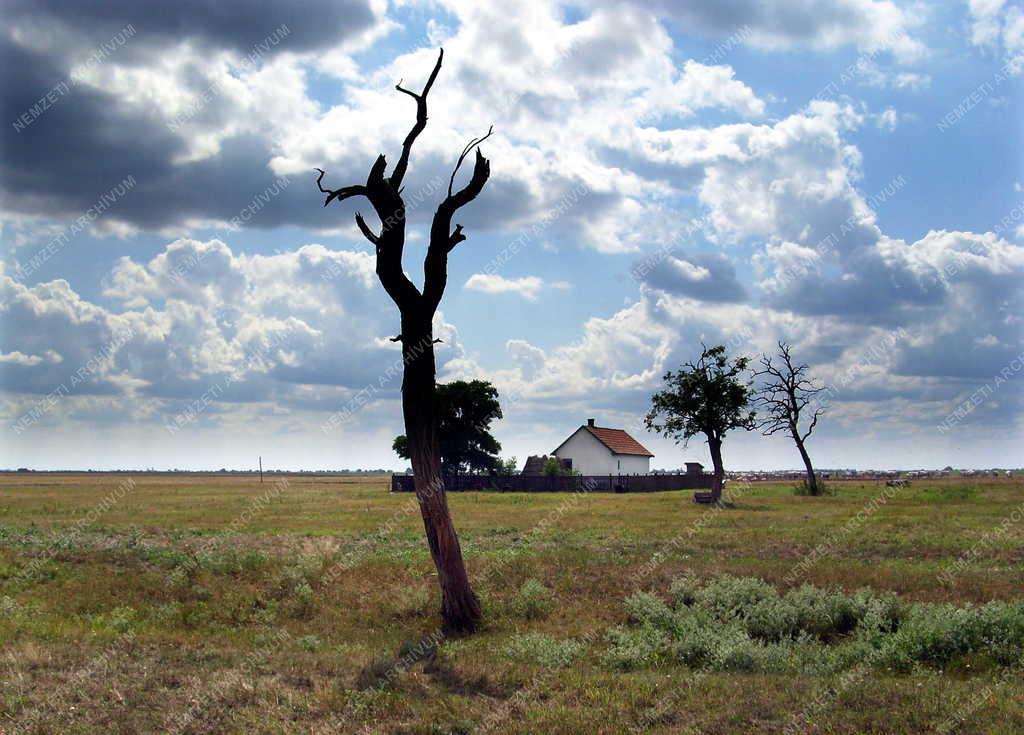 Hortobágy - Puszta