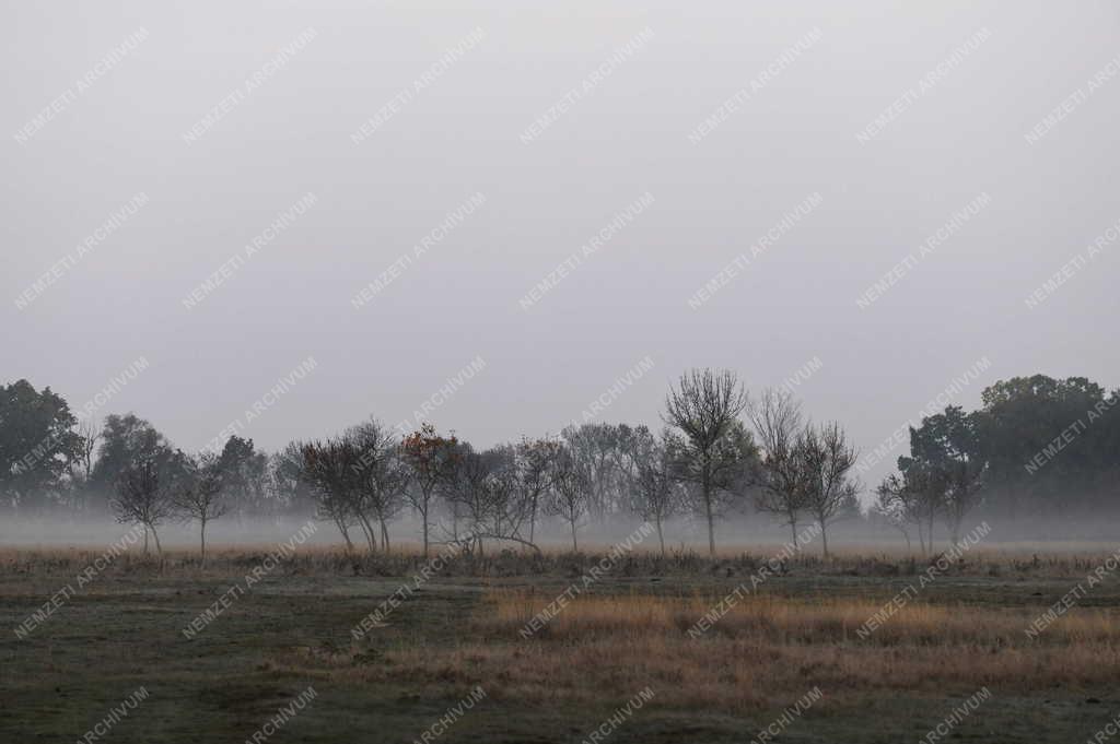 Tájkép - Természet - Ősz a Hortobágyon