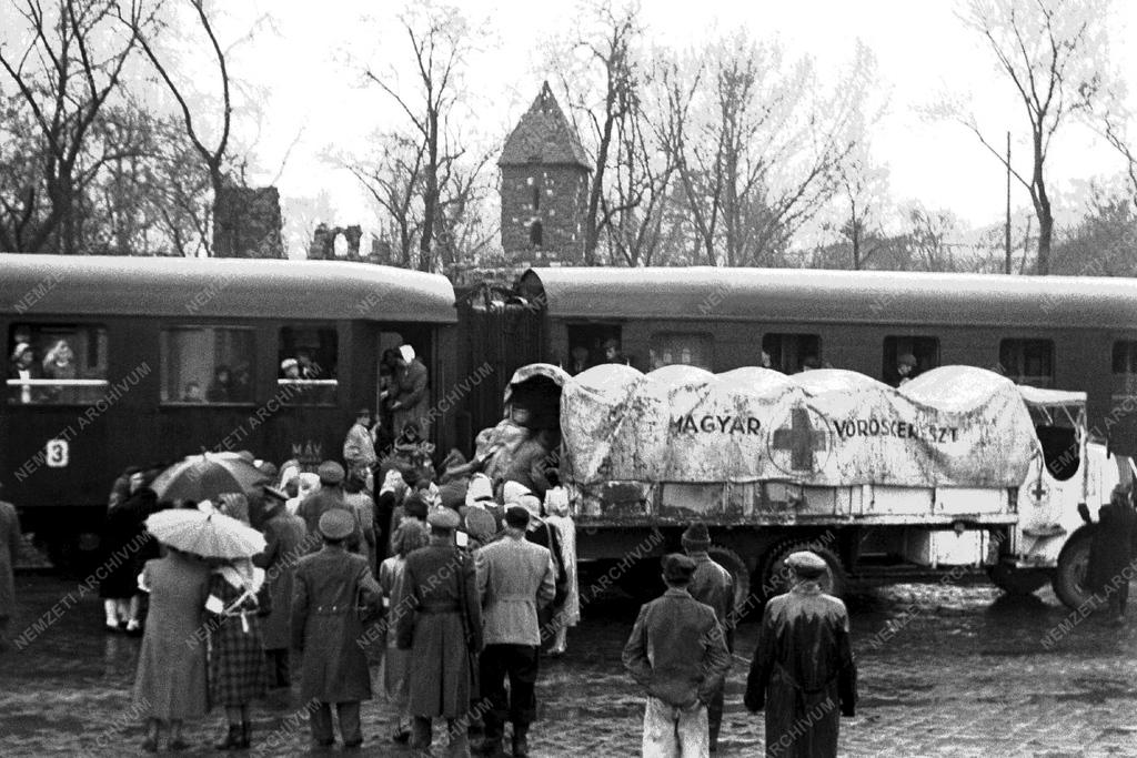 Társadalmi kérdések - Görög gyerekek elhelyezése 