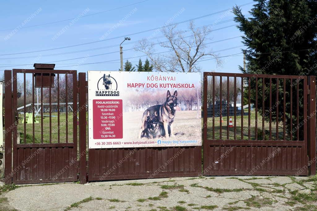Sport - Budapest - Sportliget Kőbányán - Happy Dog Kutyaiskola