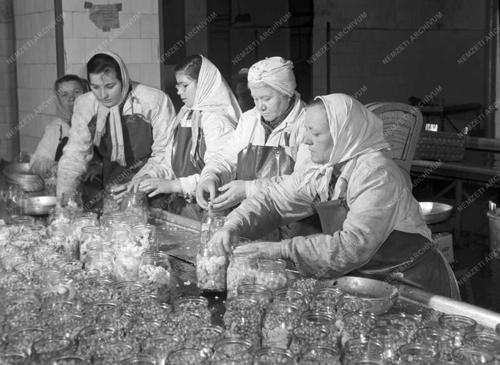 Élelmiszeripar - Gyümölcs- és Főzelékkonzervgyár