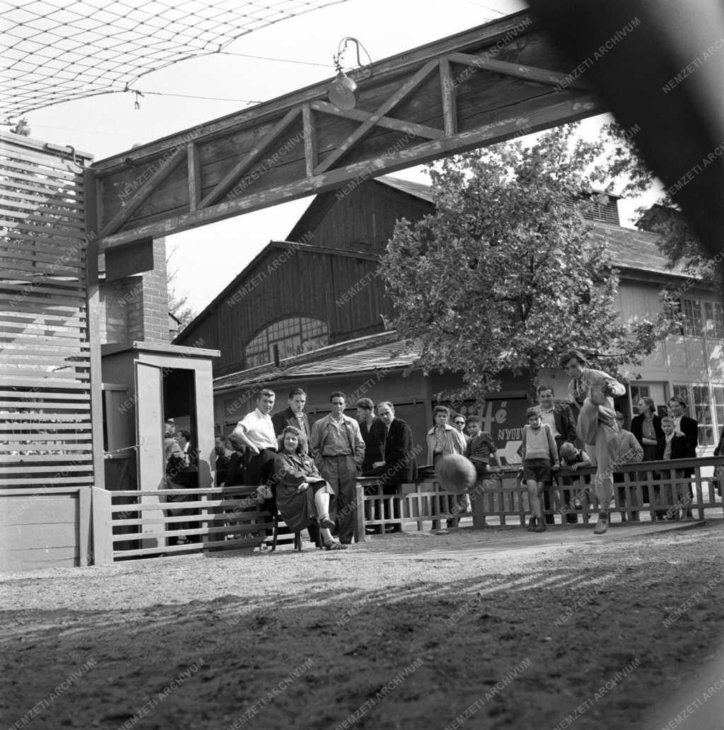 Szabadidő - Városliget - Vidámpark