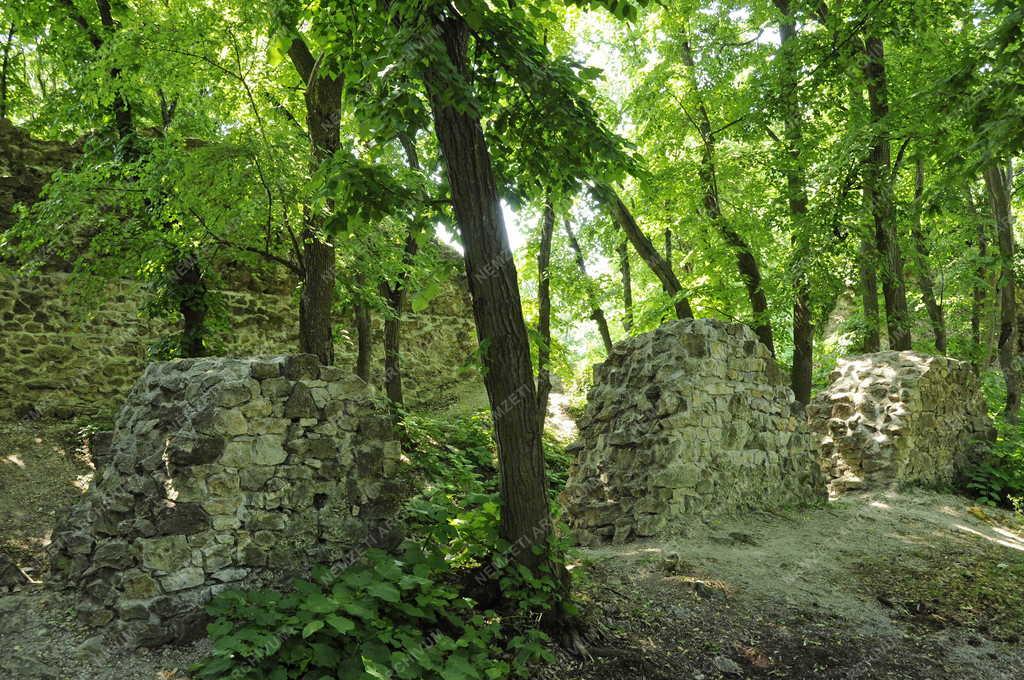 Pécsely - Zádorvár maradványai