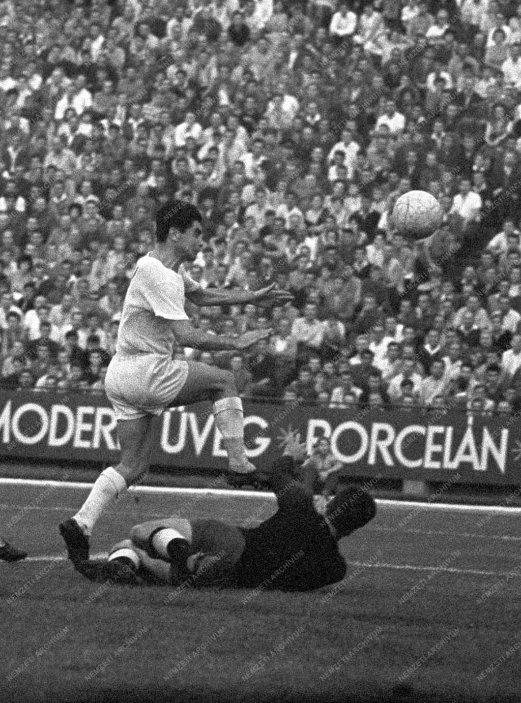 Sport - Labdarúgás - Bp. Honvéd-Ferencváros