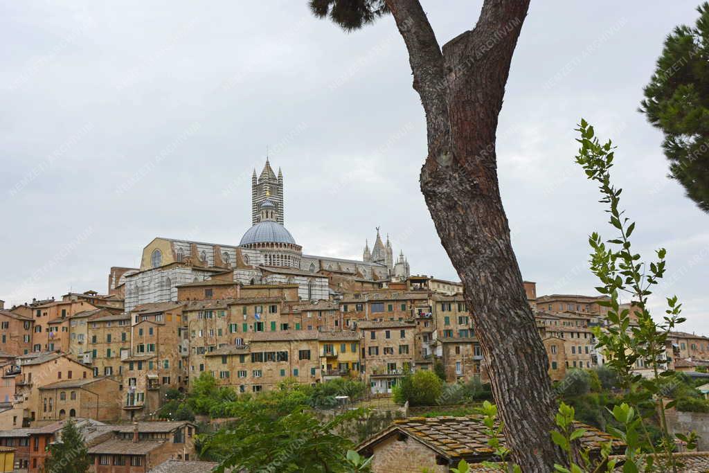 Városkép - Siena