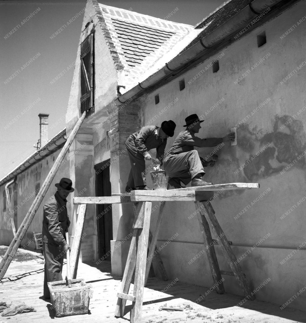 Mezőgazdaság - Földműves-szövetkezet Kalocsán