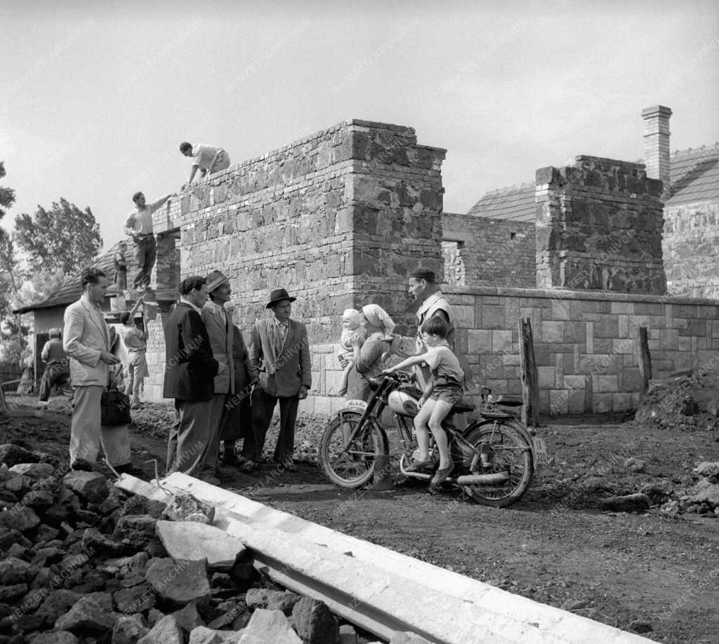 Mezőgazdaság - A gyöngyöshalászi zöldség- és gyümölcstermelő szakcsoport