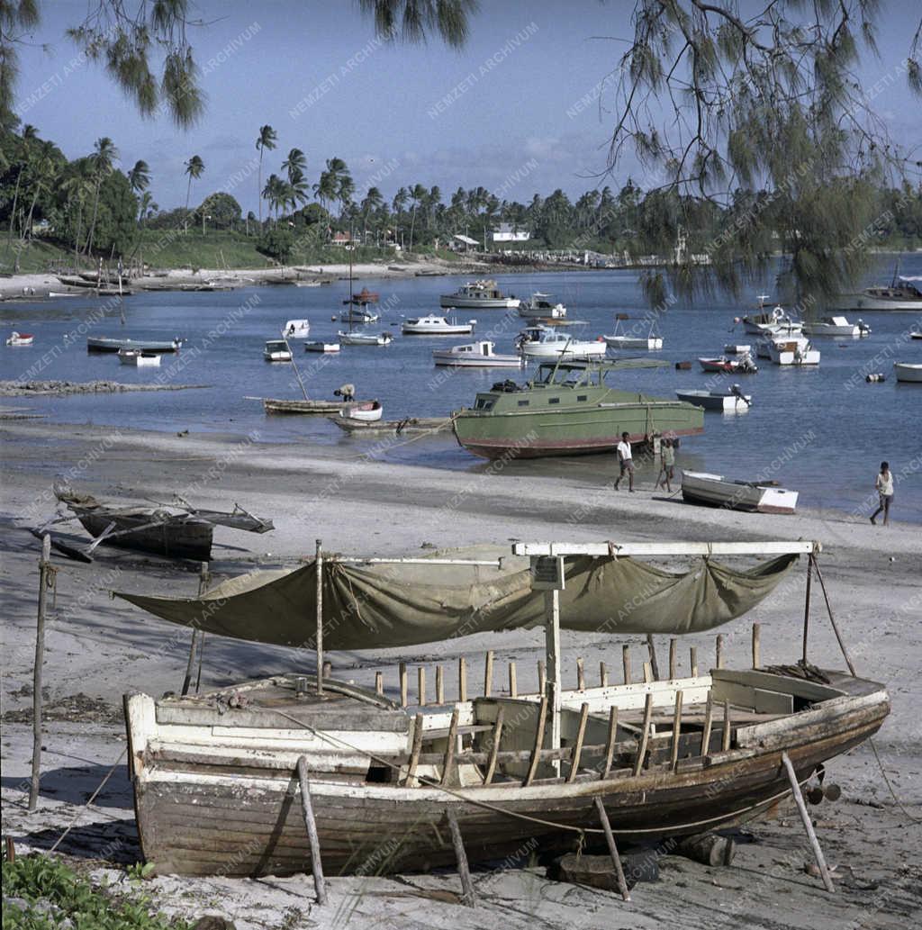 Tájkép - Tanzánia - Dar es-Salaam