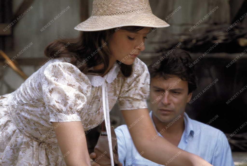 Kultúra - Film - Farkascsapda című tv film forgatása