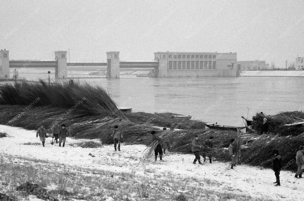 Természet - Javítják a Tisza folyó medrét a Tiszalöki Vízerőműnél