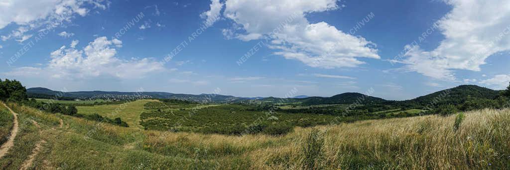 Természet - Budapest - Hármashatár-hegy