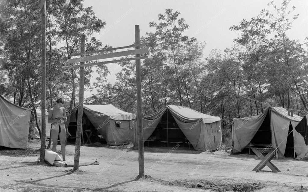 Szervezet - Településfejlesztés - Ifjúsági építőtábor Salgótarjánban