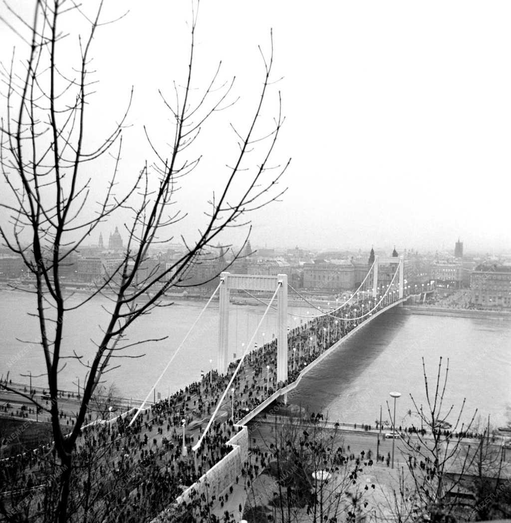 Budapesti képek - Erzsébet híd