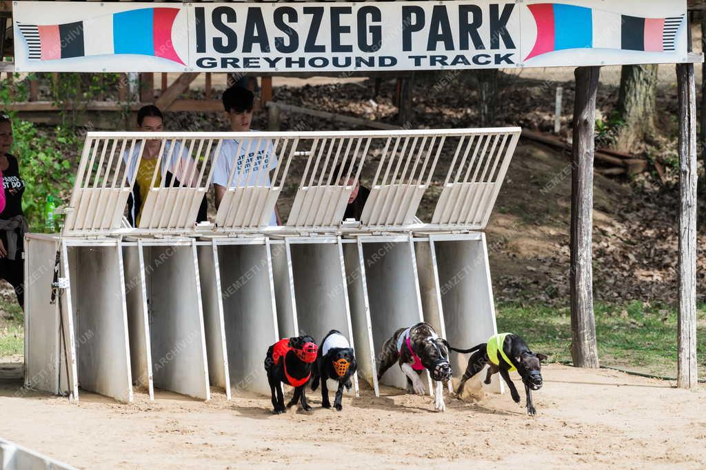 Sport - Isaszegi Agárpálya