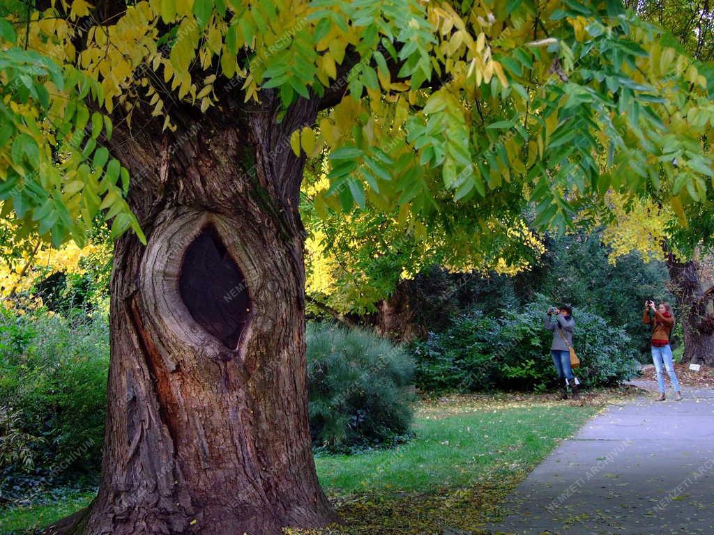 Természet - Szarvas - Arborétum
