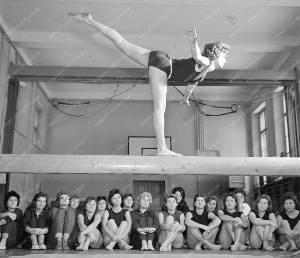 Oktatás - A kecskeméti Felsőfokú Óvónőképző Intézet