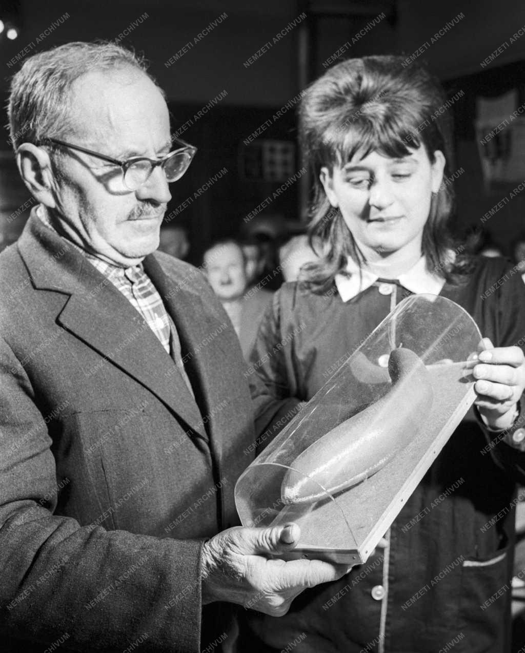 Mezőgazdaság - Oktatás - Elméleti továbbképzés a zöldségtermesztők számára