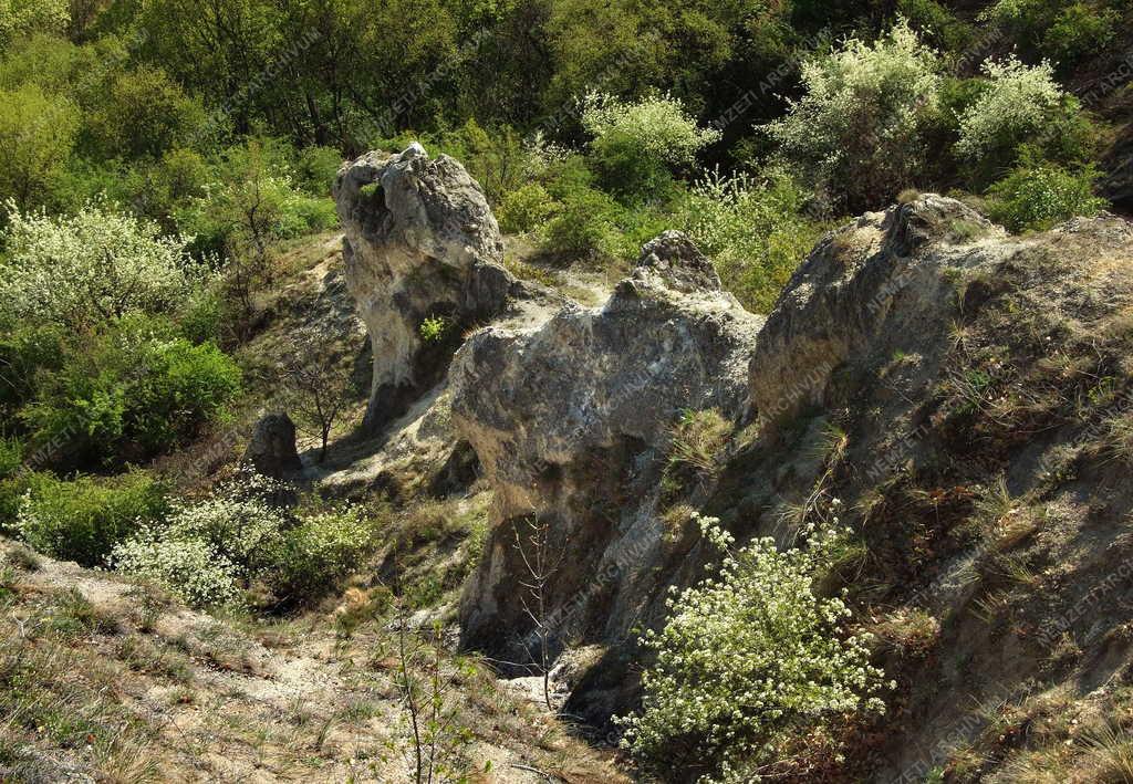 Budapest- Sas-hegy - Dolomitsziklák