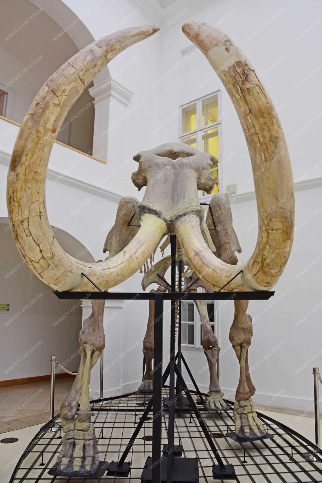 Kultúra - Gyöngyös - Mátra Múzeum
