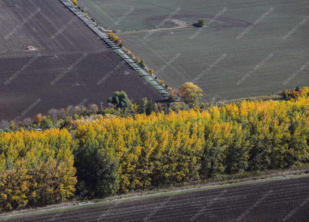 Tájkép - Természet - Ősz a Hortobágyon