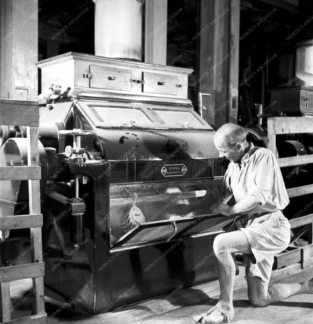 Élelmiszeripar - Búzaőrlés a Gizella-malomban