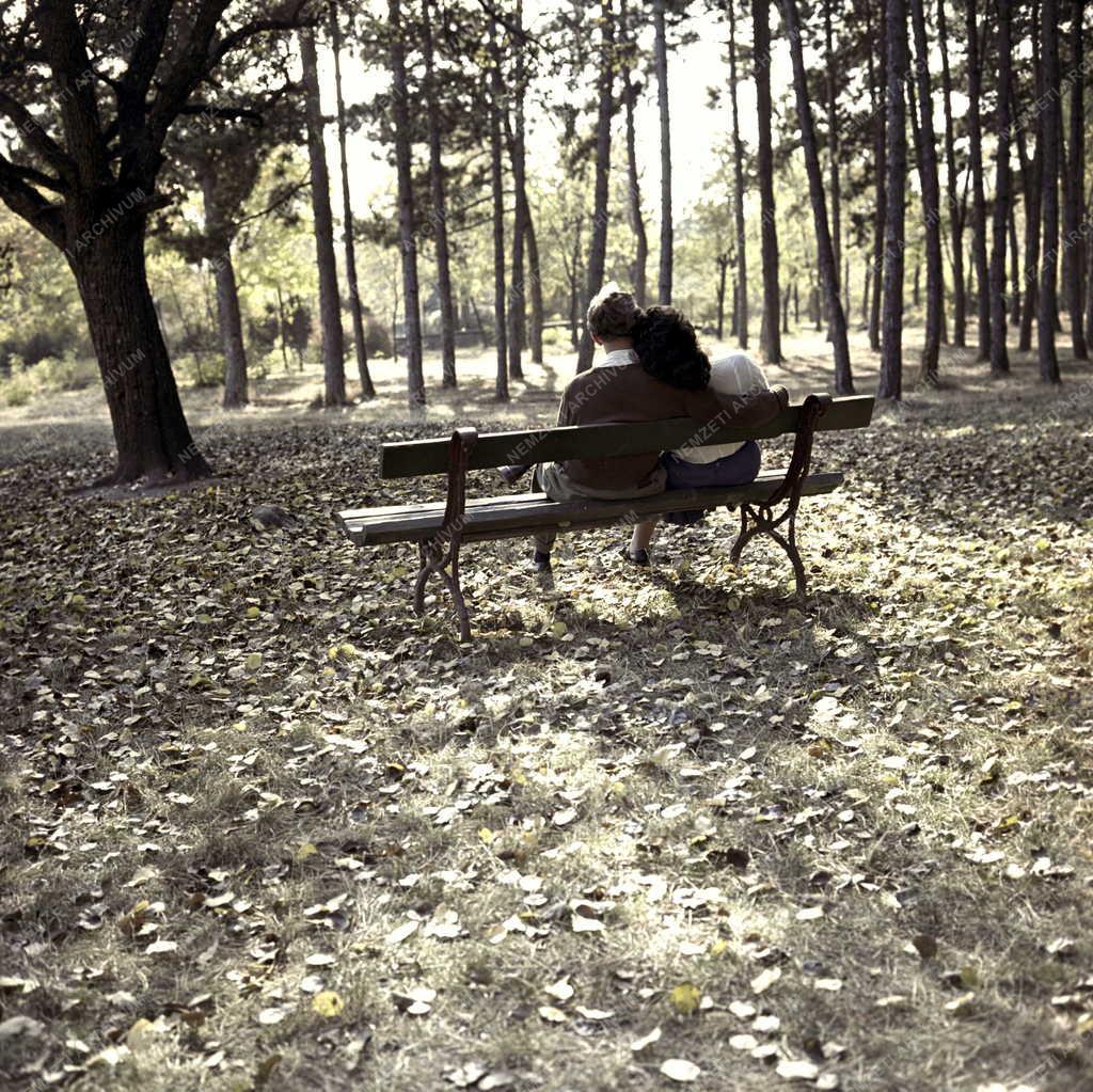 Természet - Szabadidő - Fiatal pár a parkban