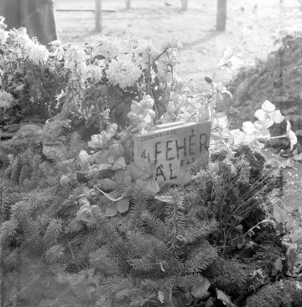 Történelem - 1956-os forradalom és szabadságharc - Ideiglenes sír a pesti utcán