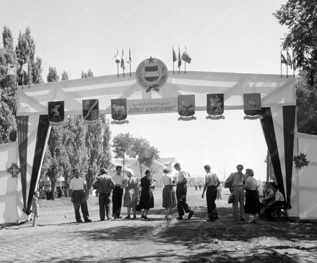 Kultúra - Szórakozás - Nagykun Napok