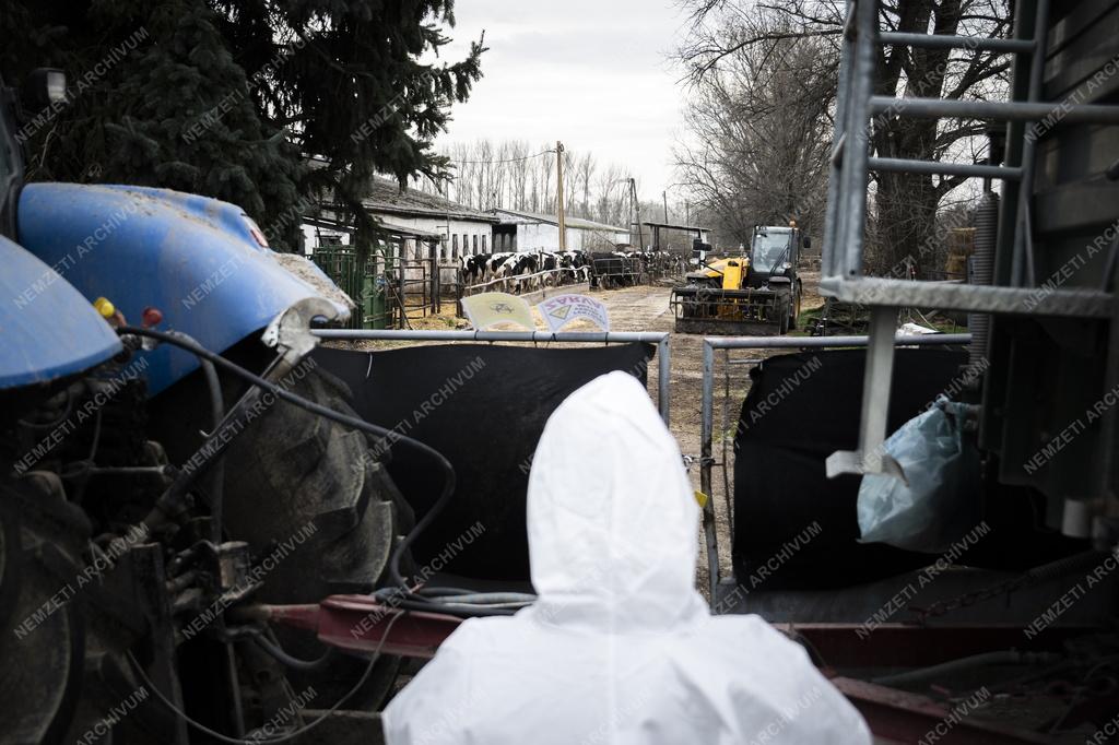 A száj-és körömfájásjárvány megfékezésével kapcsolatos munkát ellenőrizte Orbán Viktor Kisbajcson 