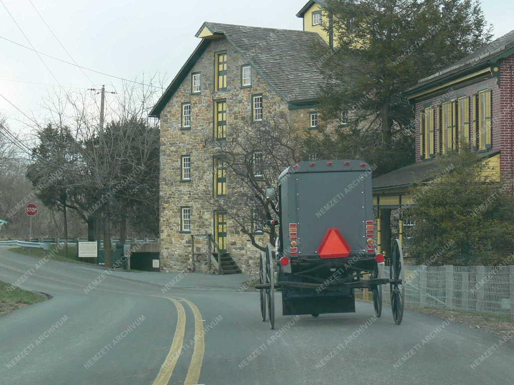 Táj, város - Amish bricska, Lancaster, Pennsylvania