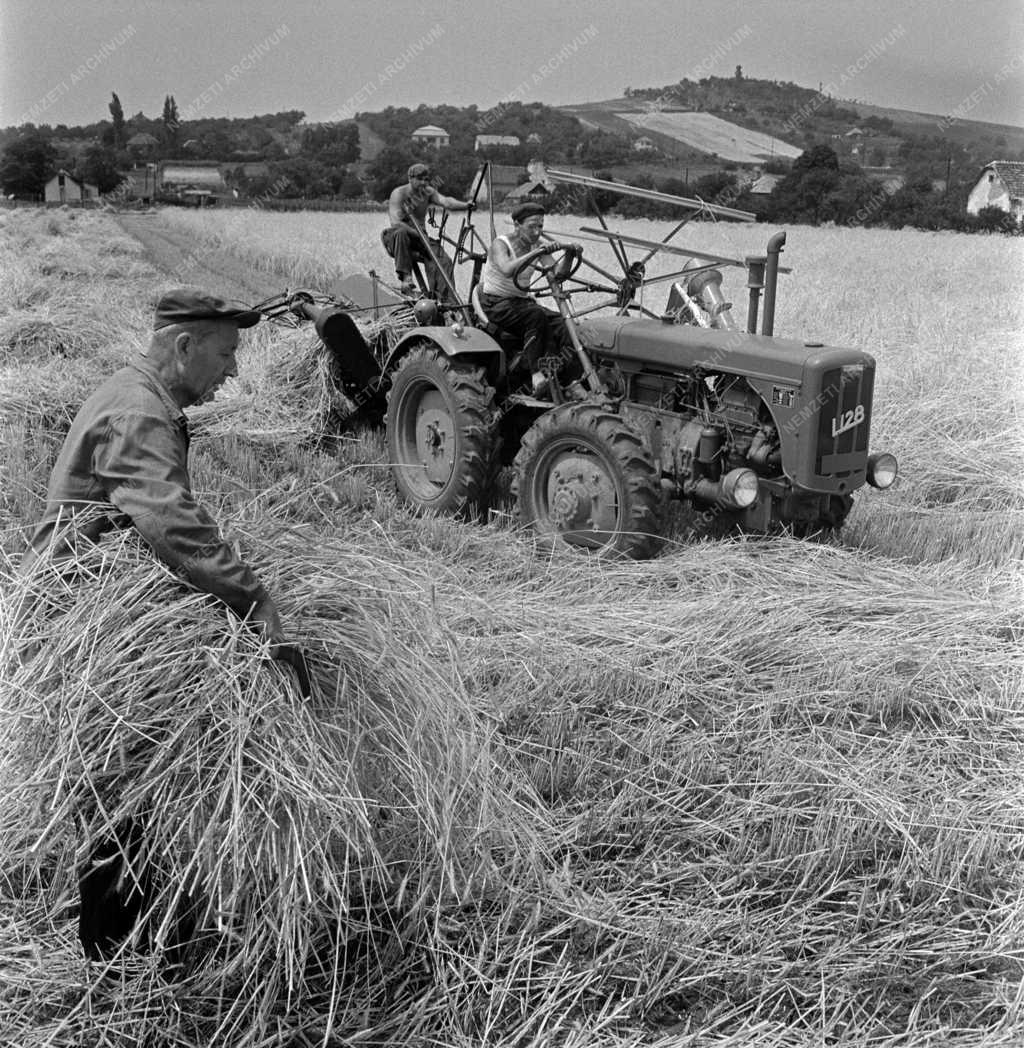 Mezőgazdaság - Egyetértés Termelőszövetkezet