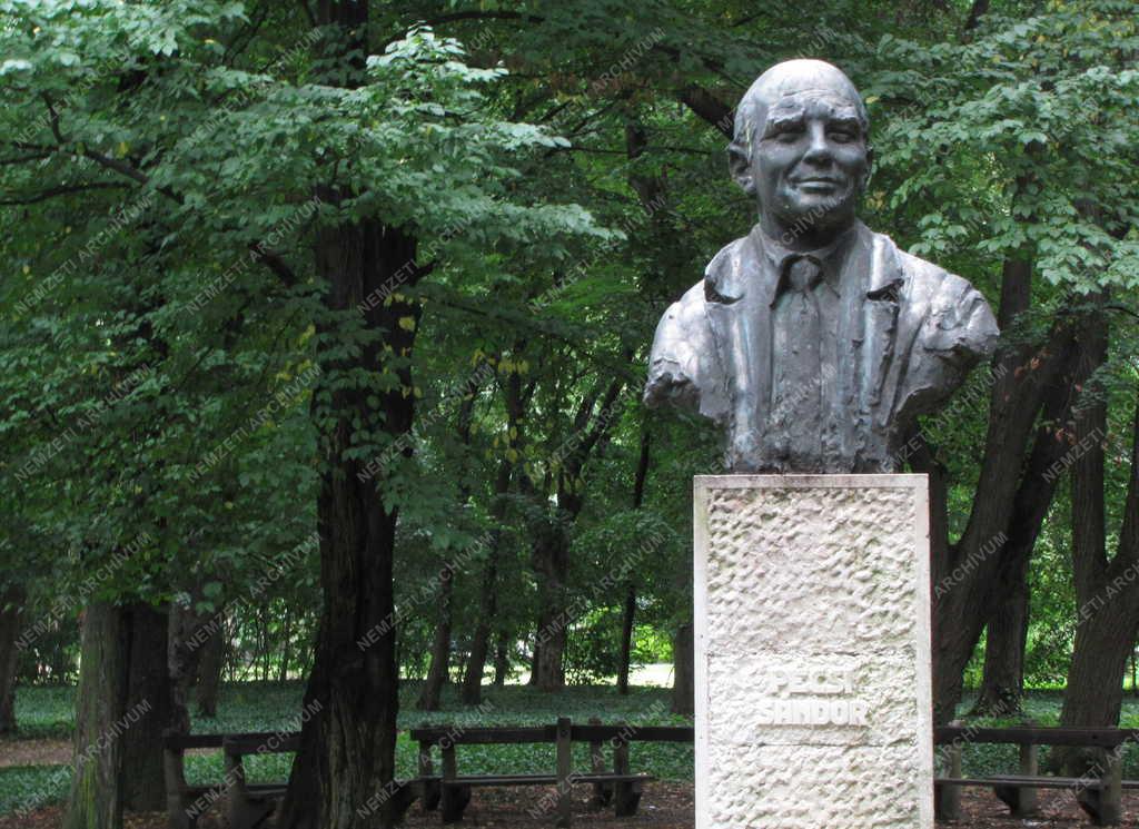 Műalkotás - Sárospatak - Pécsi Sándor szobra