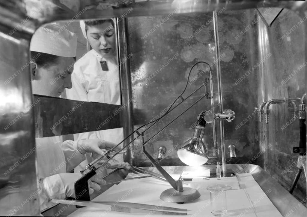 Tudomány - Kísérletek radioaktív izotópokkal
