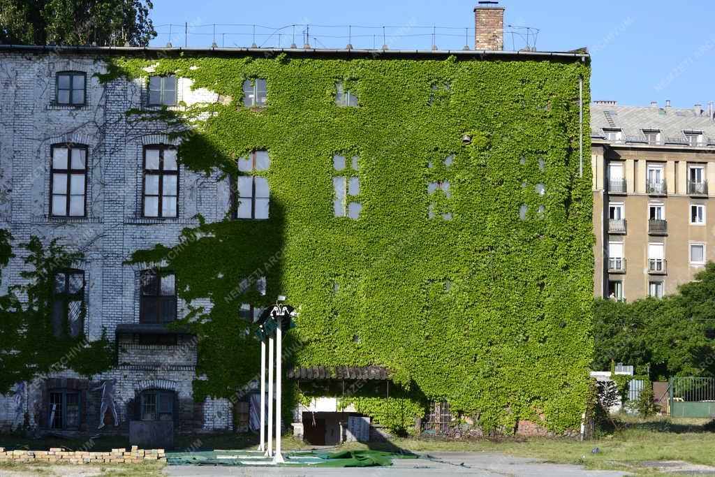 Épület - Budapest - Vadszőlővel benőtt épület
