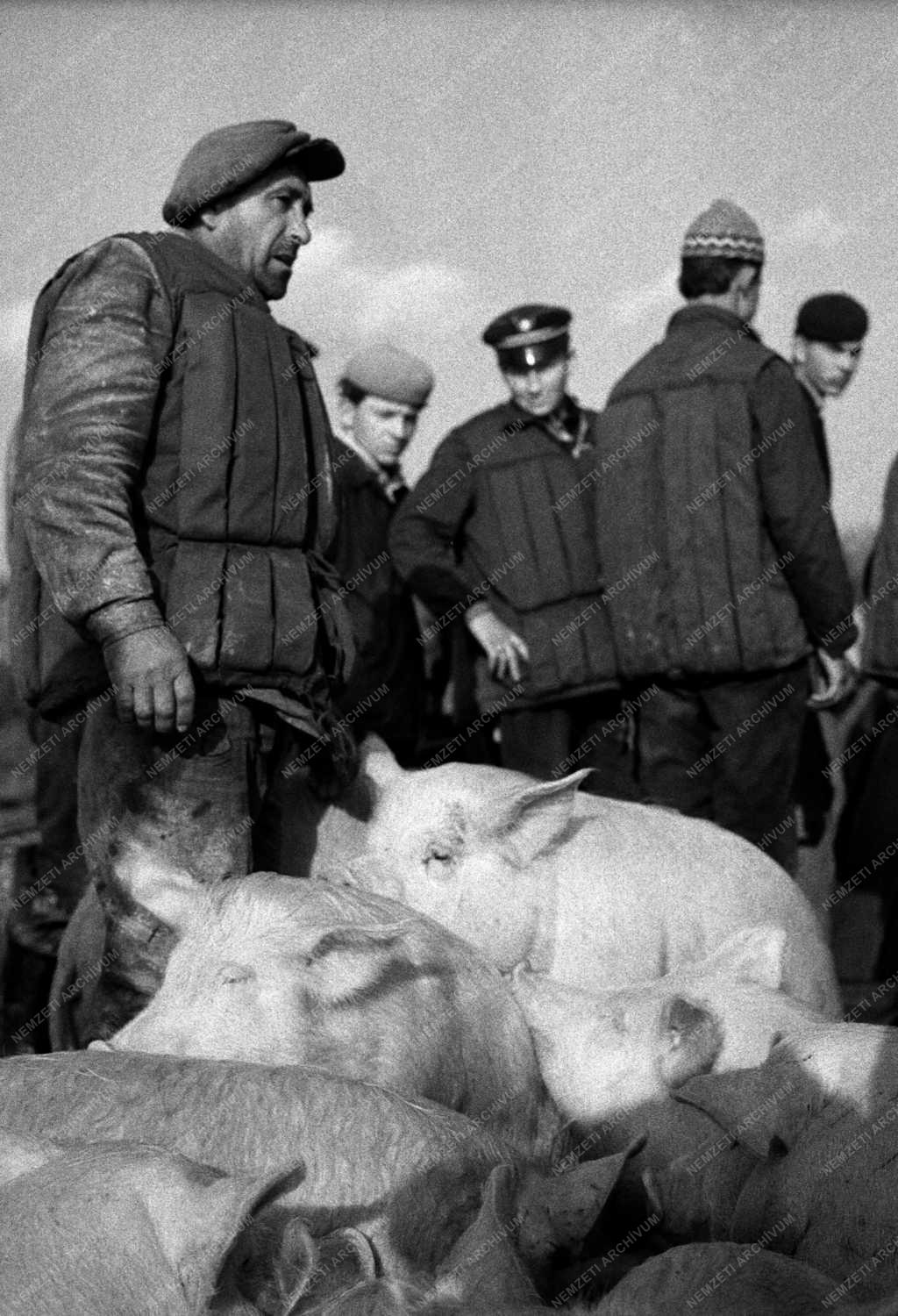 Katasztrófavédelem - Árvíz a Rába folyó mentén