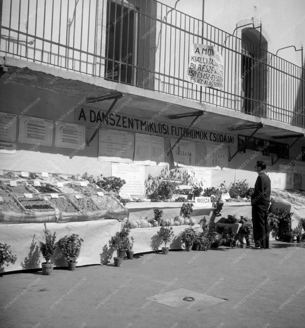 Kiállítás - Őszi vásár