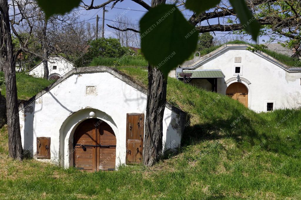 Település - Présházak és borospincék Tökön