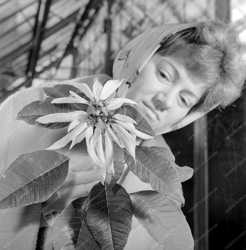 Botanika - A József Attila Tudományegyetem botanikus kertje