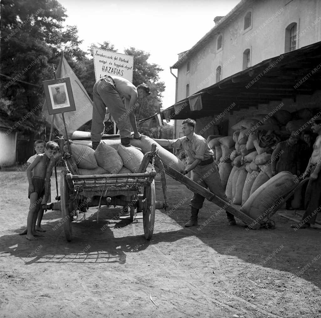 Mezőgazdaság - Terménybeadás 