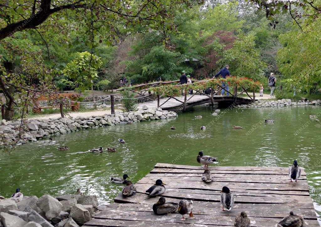Állatvédelem - Szigethalmi Családi Vadaspark és Vadmentő Központ