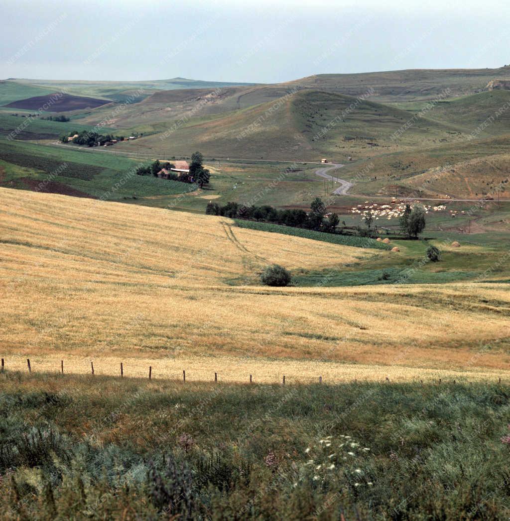 Természet - Táj - Erdély