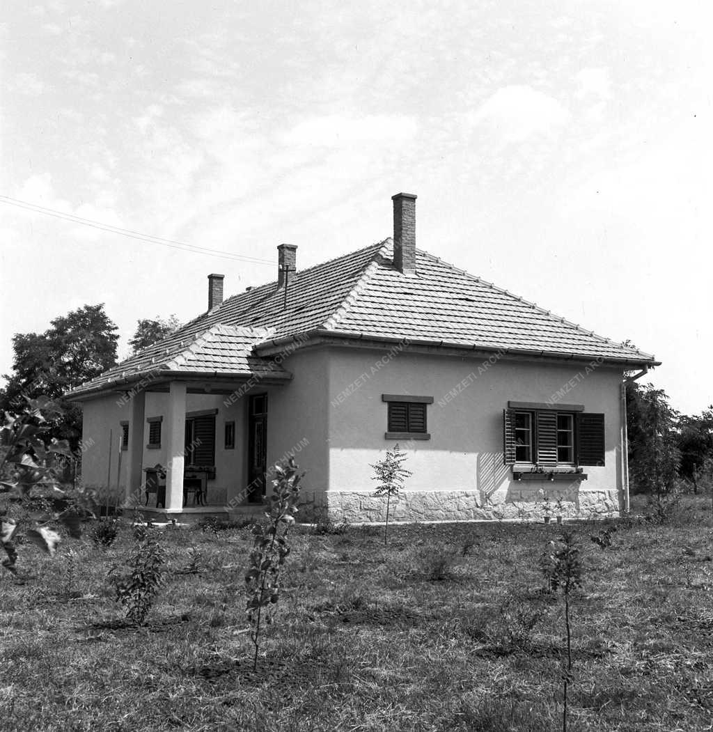 Mezőgazdaság - Püspökladány