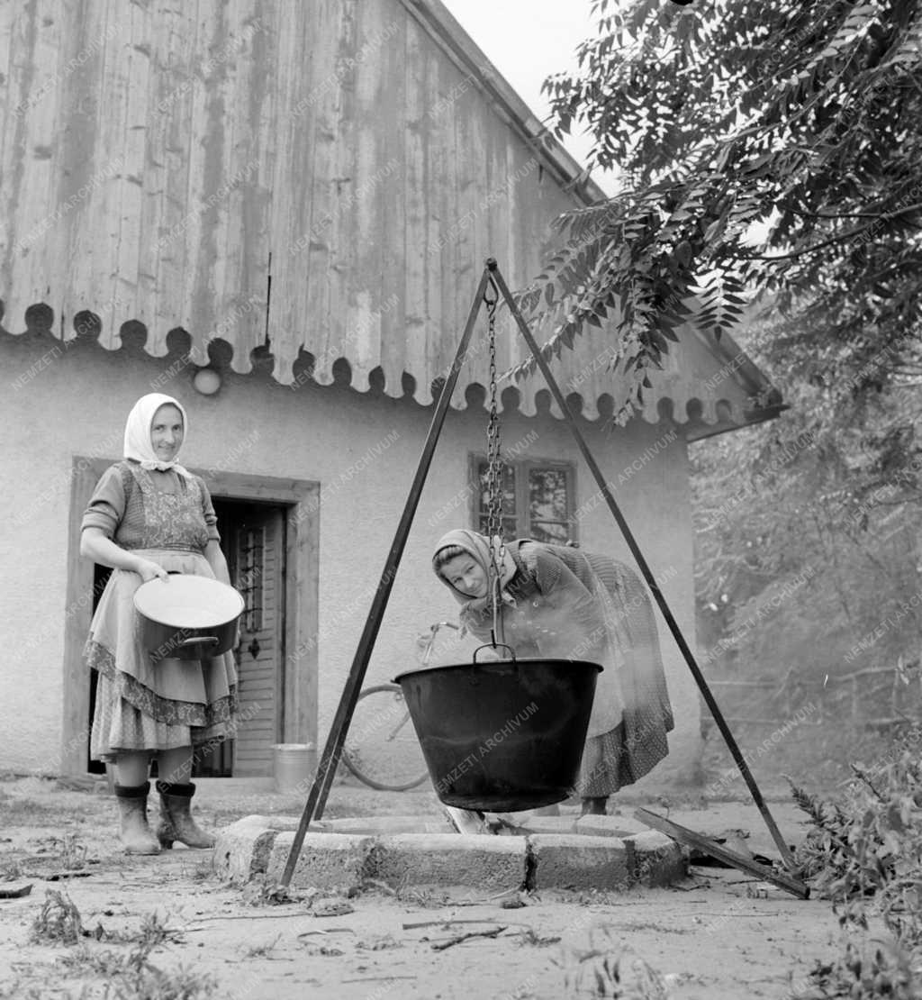 Kultúra - Pincemúzeum Hajóson